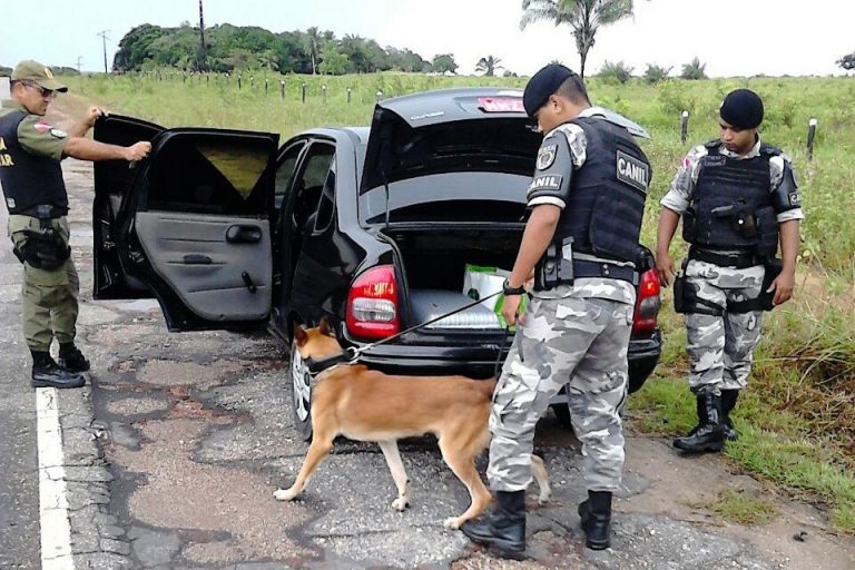 Divulgação/Polícia Militar do Pará 