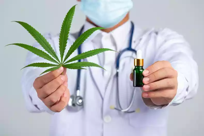 Cannabis é apontado como a alternativa no tratamento de vários problemas de saúde
