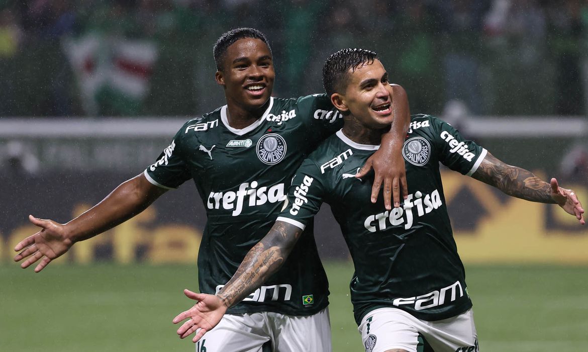 Palmeiras conquista o Brasileirão 2023 e aumenta vantagem como maior  campeão nacional - ZÉ DUDU