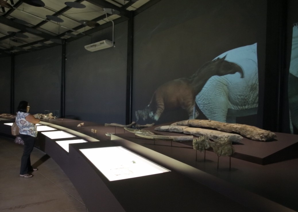 Museu da Natureza, na Serra da Capivara, no Piauí, é apontada como alternativa para se conhecer mais sobre a vida na terra e mudanças climáticas. (Foto: Divulgação)