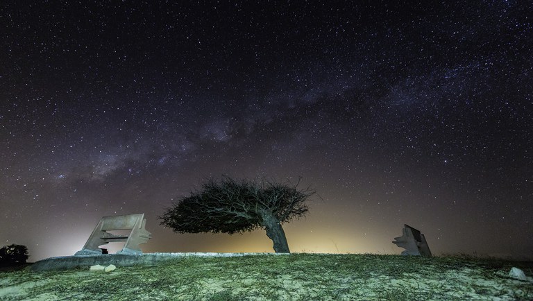 A Árvore Penteada, sobre um mar de estrelas, ilustra reportagem sobre a Rota das Estrelas no Brasil.Foto: Chico Rasta