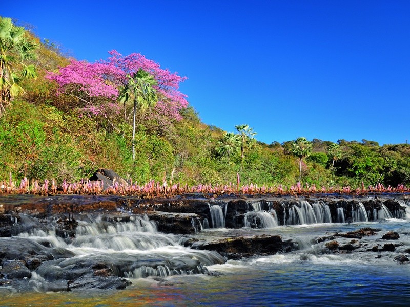A cachoeira da Lembrada na região do Cânion do Rio Poti, em Juazeiro do Piauí, uma riqueza do turismo ecológico do Piauí que precisa ser mais explorada. (Foto: Juscel Reis)
