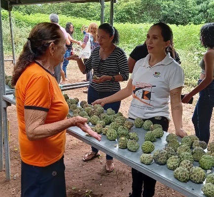 O Festival da Ata chama à atenção por estimular a geração de trabalho e renda e de riquezas com a produção de vários derivados como geleias, sorvete, iogurte, bolo, purês e mousses