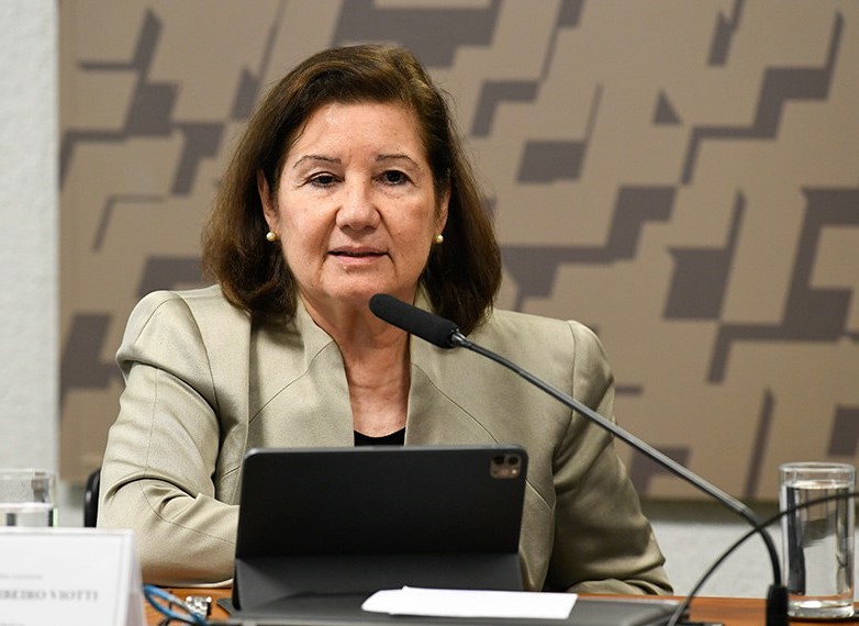 Maria Luiza Viotti exerceu diversos cargos no Ministério das Relações Exteriores, entre os quais se destacam o de diretora do Departamento de Direitos Humanos e Temas Sociais