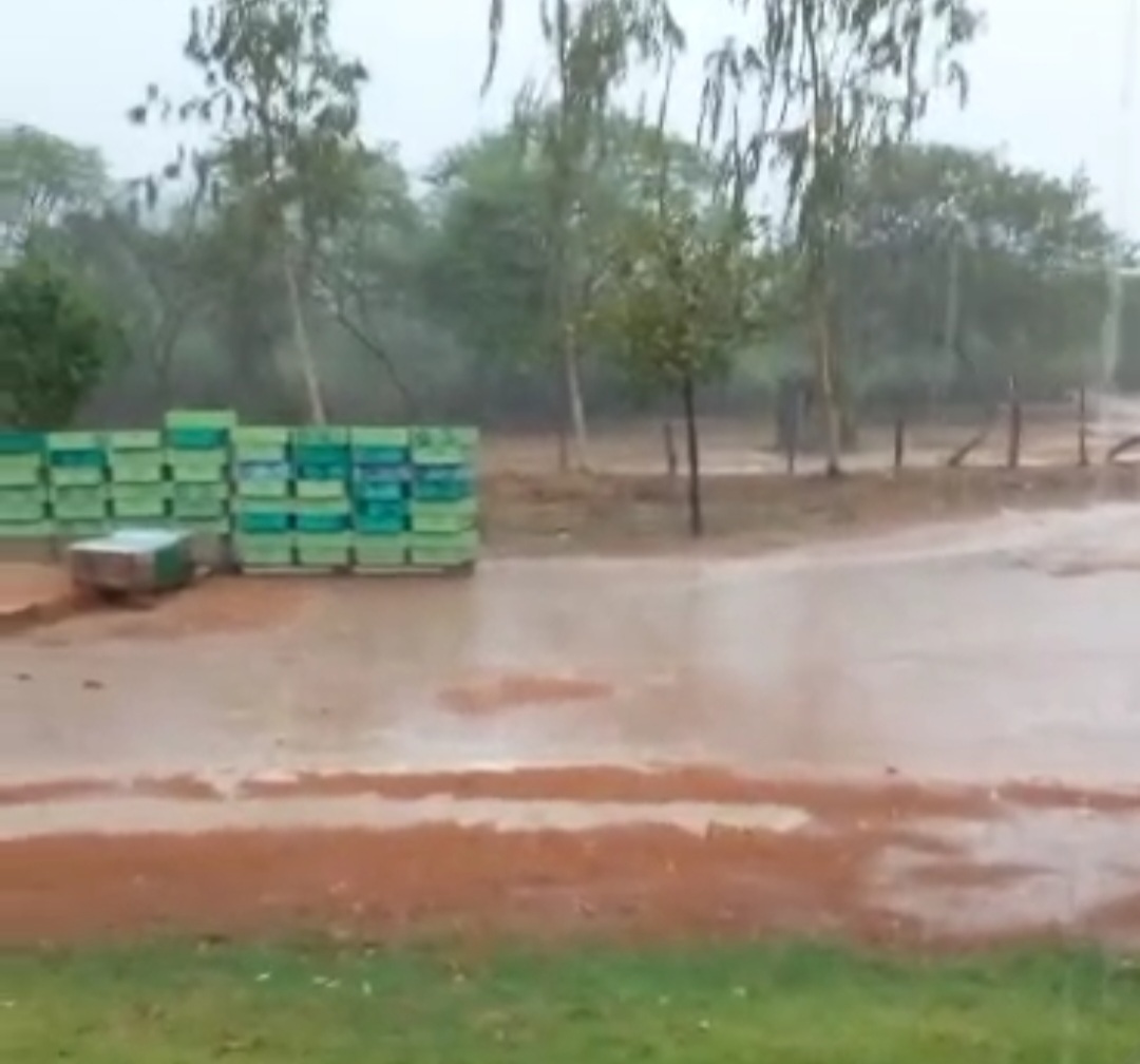 Pancada de chuva registrada neste sábado, 18, no município de Conceição do Canindé, uma das regiões mais secas do Estado, totalizando 26 milímetros, uma benção