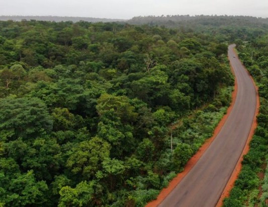 A região dos Cerrados dispõem de muitas florestas que estão preservadas com efeitos da política de combate ao desmatamento irregular. 