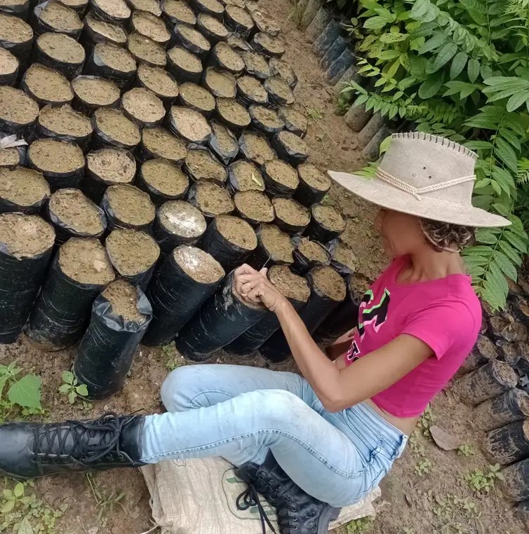 Suelen Feitosa plantou mais de 500 mudas e priorizou cupuaçu para fortalecer produção de chocolate com a amêndoa do fruto regional. Foto -ASAFAB/ divulgação