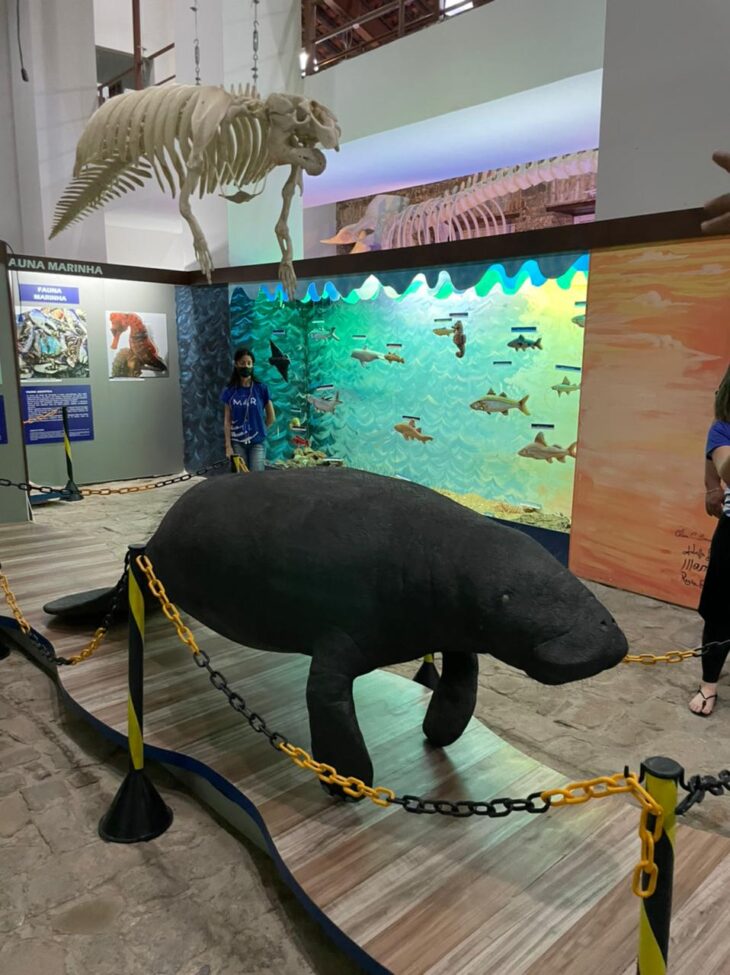 Museu do Mar em Parnaíba é um dos mais visitados do Nordeste desde que foi inaugurado pela Secretaria de Cultura do Piauí