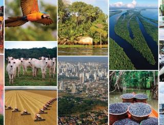 Boom no Agro: Formação Profissional Sustentável Explode no Brasil