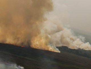 Dino homologa parcialmente plano anti-incêndios na Amazônia e Pantanal