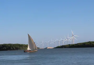 Energia eólica no Piauí está presente no norte e no Sudoeste do Piauí por causa dos ventos que são favoráveis. Foto: Djalma Batista