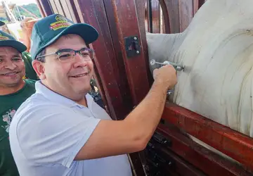 Piauí inicia última campanha de vacinação contra a aftosa com foco na exportação de carne bovina para o mercado internacional