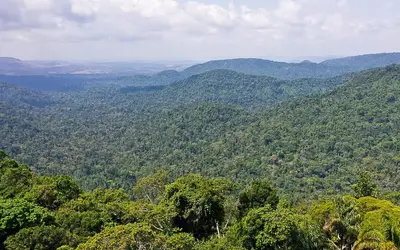 Saiba mais sobre Fundo Amazônia que é um crédito para o Brasil ampliar as políticas de preservação