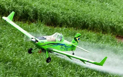 STF mantém lei do Estado do Ceará que proibiu pulverização aérea de agrotóxicos