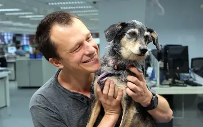 Primeira influenciadora pet do Brasil, cachorra Estopinha morre aos 14 anos