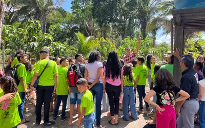 Horta escolar do Piauí estimula conhecimentos sobre agroecologia aos estudantes da rede estadual