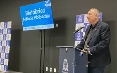 Joinville vai começar a usar bactéria wolbachia no combate à dengue