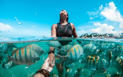 Porto de Galinhas: Descubra o Paraíso Tropical!