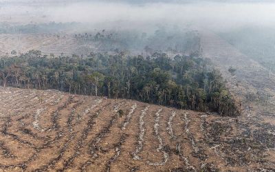 Fundo da Amazônia terá contribuição de R$ 91 milhões da Irlanda